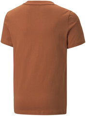 Футболка Puma Alpha Holiday Tee Orange 670109 64 670109 64/176 цена и информация | Рубашки для мальчиков | pigu.lt