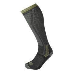Унисекс носки Lorpen T3HOE - серый 8445042938195 цена и информация | Мужские носки | pigu.lt