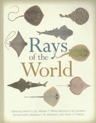 Rays of the World kaina ir informacija | Lavinamosios knygos | pigu.lt