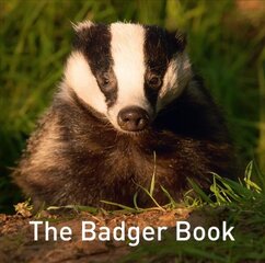 Badger Book цена и информация | Энциклопедии, справочники | pigu.lt