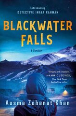 Blackwater Falls: A Thriller цена и информация | Fantastinės, mistinės knygos | pigu.lt