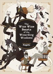 Wize Wize Beasts of the Wizarding Wizdoms цена и информация | Книги для подростков  | pigu.lt