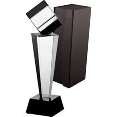 Stiklinis trofėjus, 30 cm kaina ir informacija | Kitos originalios dovanos | pigu.lt