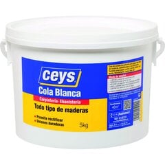 Суперклей Ceys 501705, 5 кг цена и информация | Клей | pigu.lt