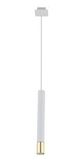 Подвесной светильник SOPEL 33386 цена и информация | Люстры | pigu.lt