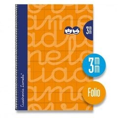 Užrašų knygelė Lamela A4, 70 g/m, oranžinė 5 vnt. kaina ir informacija | Kanceliarinės prekės | pigu.lt