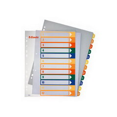 Plastikiniai spalvoti skiriamieji lapai Esselte 1-12 A4, maxi, 5 vnt. kaina ir informacija | Kanceliarinės prekės | pigu.lt