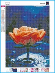 Deimantinio paveikslo-mozaikos 5D rinkinys (akučių klijavimas) 30x40 cm DK41252 kaina ir informacija | Deimantinės mozaikos | pigu.lt