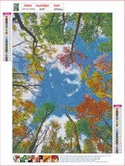 Deimantinio paveikslo-mozaikos 5D rinkinys (akučių klijavimas) 30x40 cm DK41272 kaina ir informacija | Deimantinės mozaikos | pigu.lt