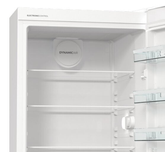 Gorenje R619EEW5 цена и информация | Šaldytuvai | pigu.lt