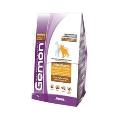 Gemon medium puppy jauniems šuniukams su vištiena ir ryžiais, 3 kg цена и информация |  Сухой корм для собак | pigu.lt