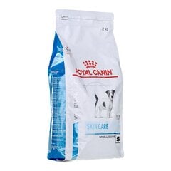 Royal Canin Skin Care sausas maistas mažų veislių suaugusiems šunims, 2 kg kaina ir informacija | Sausas maistas šunims | pigu.lt