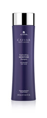 ALTERNA Caviar Seasilk Moisture Shampoo 250 мл цена и информация | Alterna Духи, косметика | pigu.lt