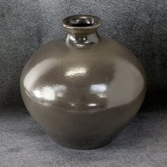 Vaza, 26 cm kaina ir informacija | Vazos | pigu.lt