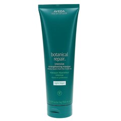 Plaukų kaukė Aveda Botanical Repair 350 ml kaina ir informacija | Priemonės plaukų stiprinimui | pigu.lt