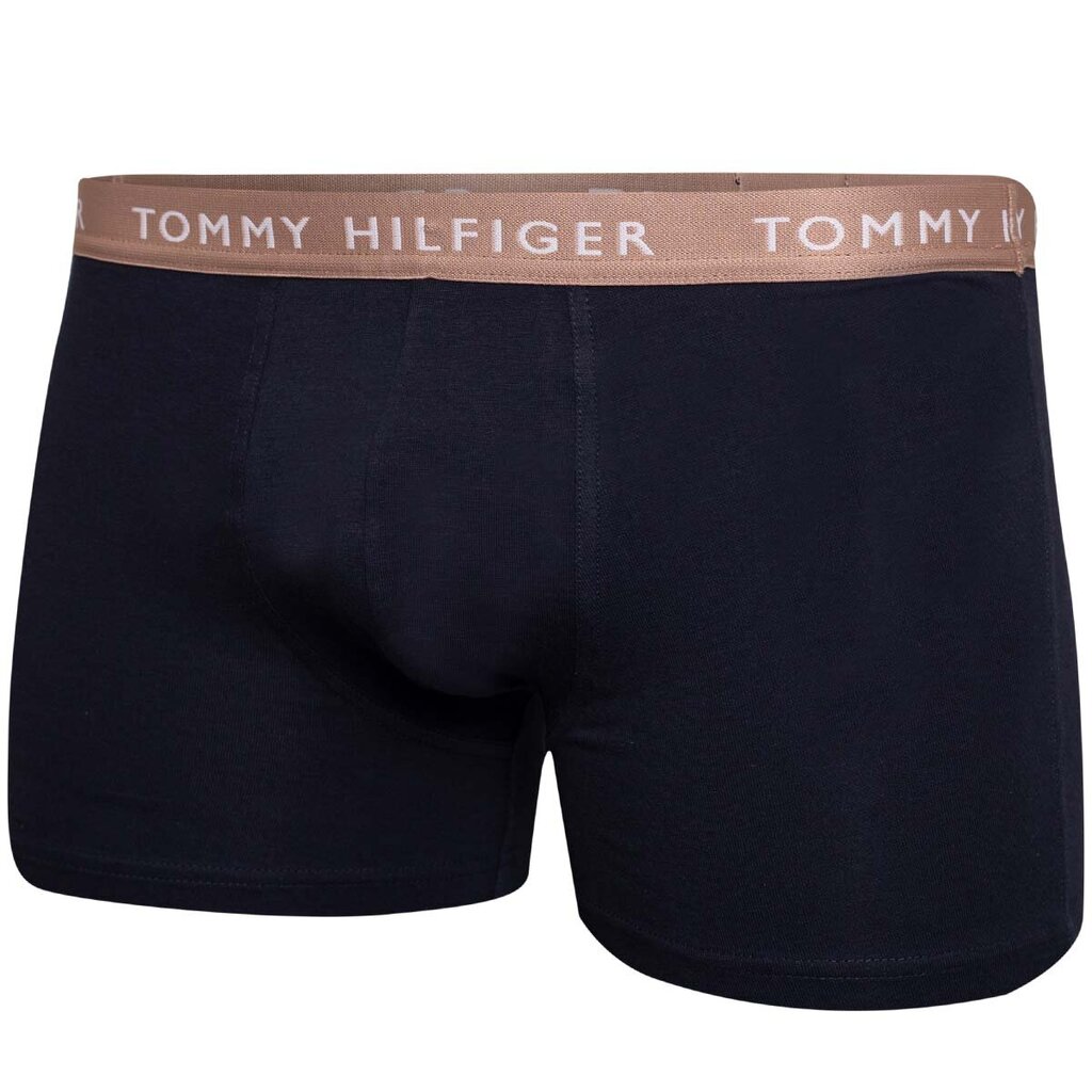 Vyriškos trumpikės Tommy Hilfiger 52670, juodos spalvos цена и информация | Trumpikės | pigu.lt