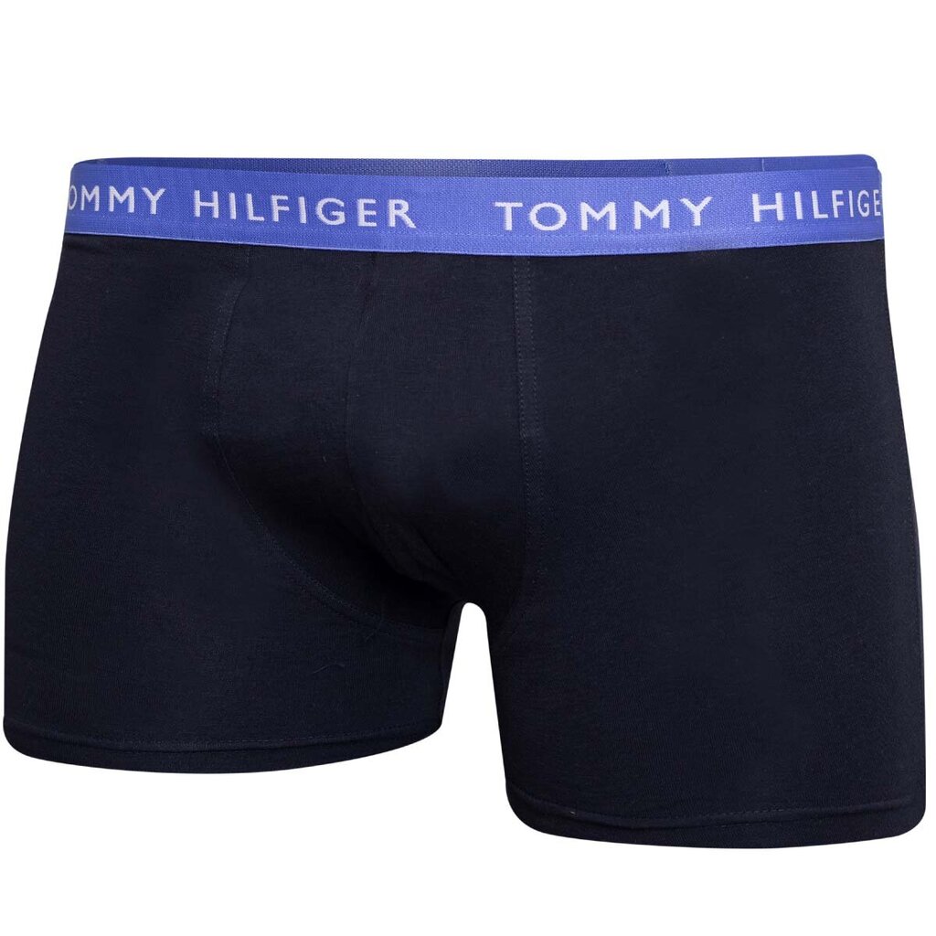 Vyriškos trumpikės Tommy Hilfiger 52670, juodos spalvos kaina ir informacija | Trumpikės | pigu.lt