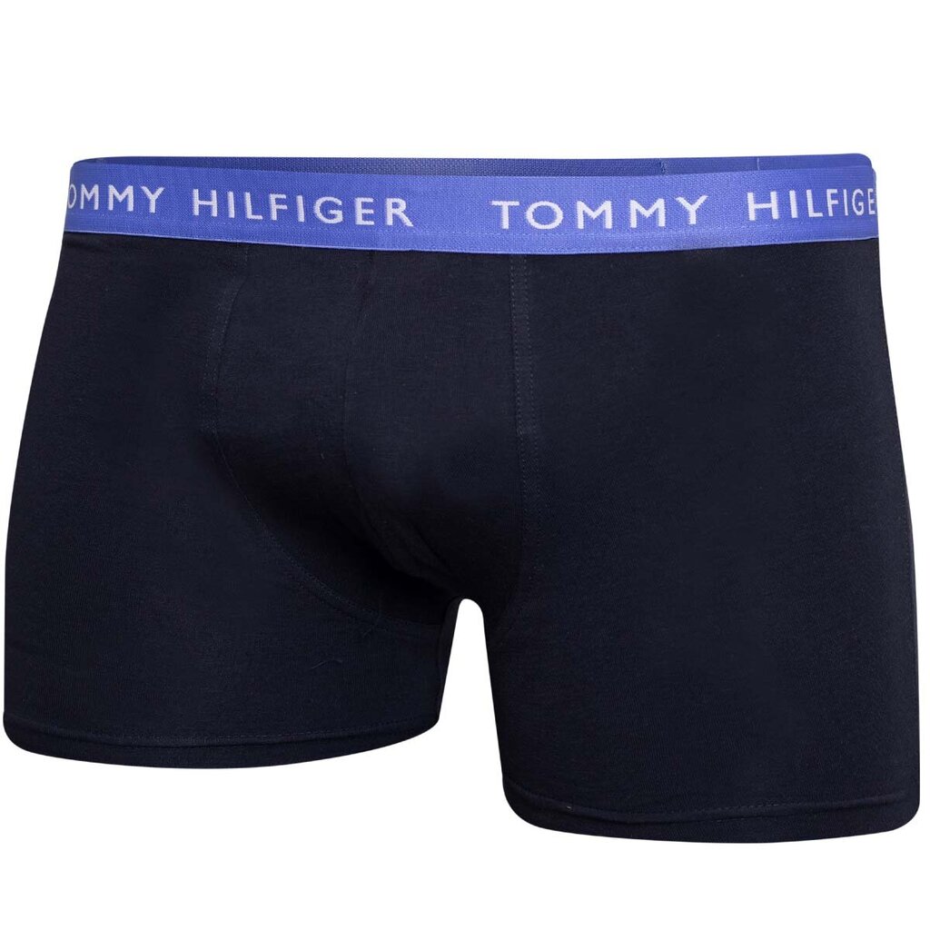 Vyriškos trumpikės Tommy Hilfiger 52670, juodos spalvos цена и информация | Trumpikės | pigu.lt