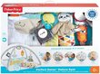 Sensorinis kilimėlis Fisher-Price Deluxe kaina ir informacija | Lavinimo kilimėliai | pigu.lt