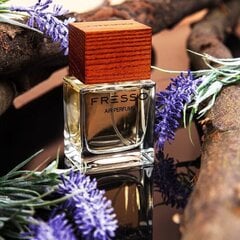 Fresso Magnetic Style perfumery цена и информация | Освежители воздуха для салона | pigu.lt