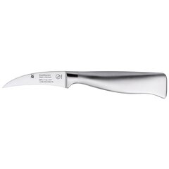 Gourmet peilis, 17.5 cm kaina ir informacija | Peiliai ir jų priedai | pigu.lt