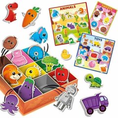 Rūšiavimo žaidimas Lisciani Giochi цена и информация | Игрушки для малышей | pigu.lt