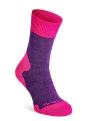 Trekking socks Bridgedale Explorer Heavy Merino C Boot - purple цена и информация | Женские носки | pigu.lt