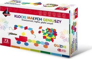 Цветная головоломка, Аскато цена и информация | Конструкторы и кубики | pigu.lt