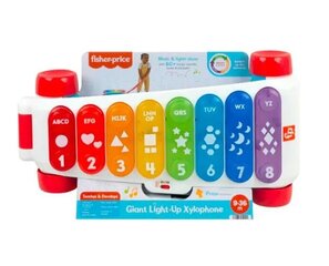 Žaislinis traukiamas ksilofonas Fisher Price kaina ir informacija | Žaislai kūdikiams | pigu.lt