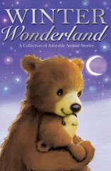 Winter Wonderland UK ed. цена и информация | Книги для подростков и молодежи | pigu.lt