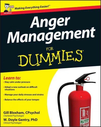 Anger management for dummies UK edition цена и информация | Saviugdos knygos | pigu.lt