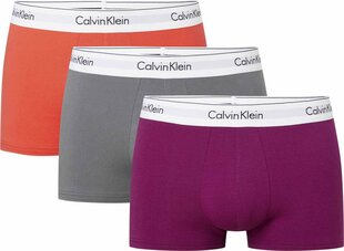 Мужские шорты Calvin Klein 52892, разные цвета цена и информация | Мужские трусы | pigu.lt