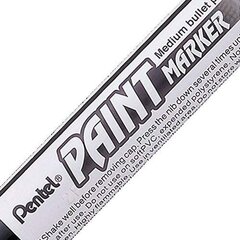 Žymeklis Pentel Paint Marker, Baltas, 12 vnt. kaina ir informacija | Kanceliarinės prekės | pigu.lt