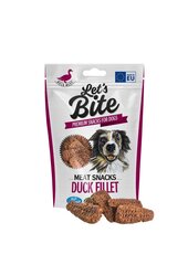 Brit Lets Bite su antiena, 80 g цена и информация | Лакомства для собак | pigu.lt