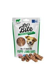 Brit Lets Bite su aviena, 80 g kaina ir informacija | Skanėstai šunims | pigu.lt