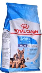 Корм Royal Canin Maxi Starter для собак крупных пород в период беременности и лактации, а также для щенков, 4 кг. цена и информация | Сухой корм для собак | pigu.lt