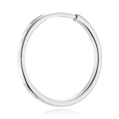 Серебряные серьги-кольца Alfa-Karat 2021571/3 цена и информация | Серьги | pigu.lt