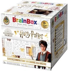 Atminties žaidimas Brainbox Harry Potter цена и информация | Настольные игры, головоломки | pigu.lt