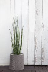 Gėlių vazonas Keter Cylinder Planter Small, 28x28x28cm kaina ir informacija | Vazonai | pigu.lt