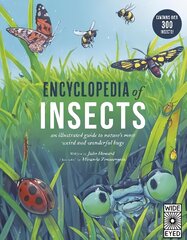 Encyclopedia of Insects kaina ir informacija | Knygos paaugliams ir jaunimui | pigu.lt