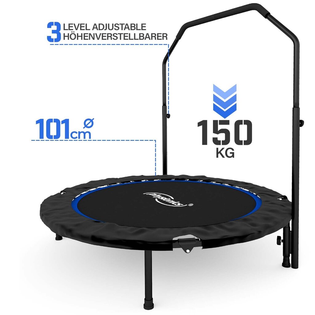 Fitneso batutas, 101 cm цена и информация | Sportiniai batutai | pigu.lt