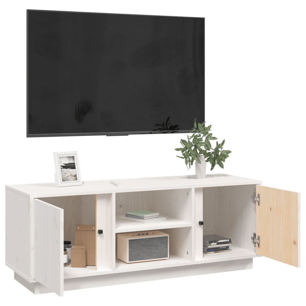 Televizoriaus spintelė, balta, 110x35x40,5cm цена и информация | TV staliukai | pigu.lt