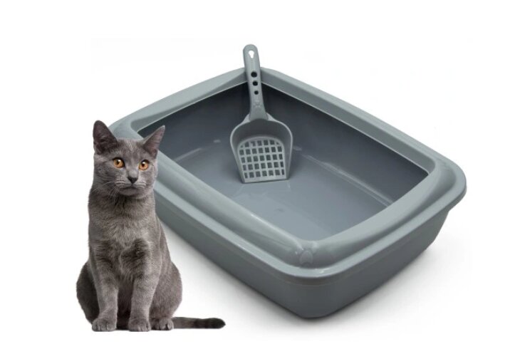 Kraiko dėžė su mentele katei kaina ir informacija | Kačių tualetai | pigu.lt
