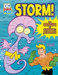 Storm!: The Origin of Aquaman's Seahorse kaina ir informacija | Knygos paaugliams ir jaunimui | pigu.lt