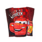 Vaikiškas rankšluostis-poncho Disney Cars, 50x100 cm kaina ir informacija | Rankšluosčiai | pigu.lt