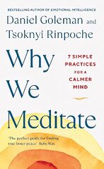 Why We Meditate: 7 Simple Practices for a Calmer Mind цена и информация | Самоучители | pigu.lt