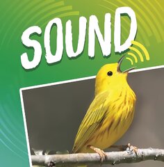 Step Into Science: Sound цена и информация | Книги для подростков  | pigu.lt