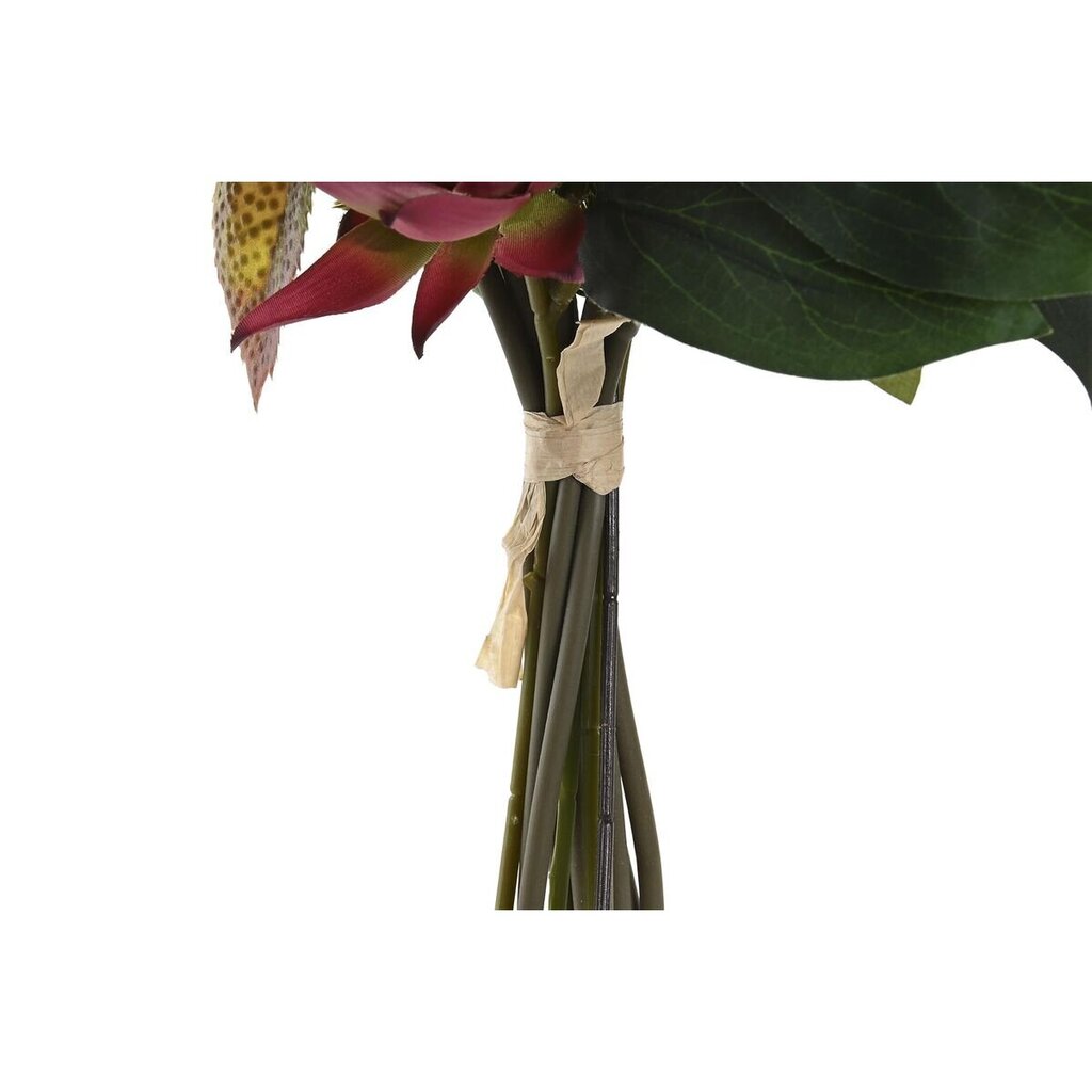 Dirbtinė gėlės DKD Home Decor kaina ir informacija | Dirbtinės gėlės | pigu.lt