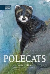 Polecats цена и информация | Развивающие книги | pigu.lt