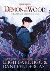 Demon in the Wood Graphic Novel цена и информация | Книги для подростков  | pigu.lt